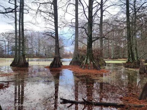 Shaw Road, Sledge, MS 38670 photo 29
