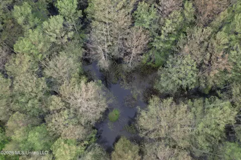 Shaw Road, Sledge, MS 38670 photo 4