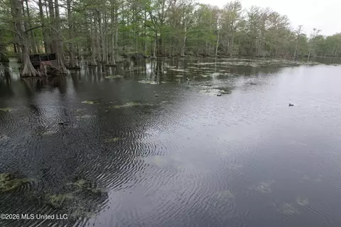 Shaw Road, Sledge, MS 38670 photo 19
