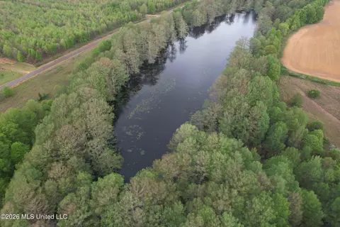 Shaw Road, Sledge, MS 38670 photo 5