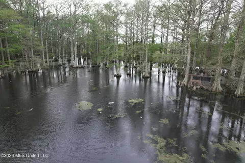 Shaw Road, Sledge, MS 38670 photo 9
