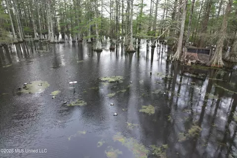 Shaw Road, Sledge, MS 38670 photo 11