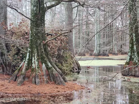 Shaw Road, Sledge, MS 38670 photo 30