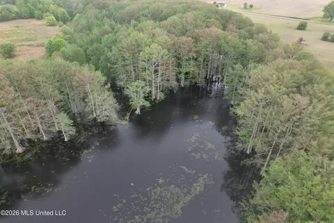 Shaw Road, Sledge, MS 38670 photo 12