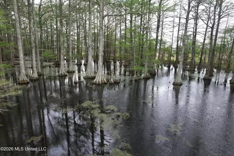 Shaw Road, Sledge, MS 38670 photo 17