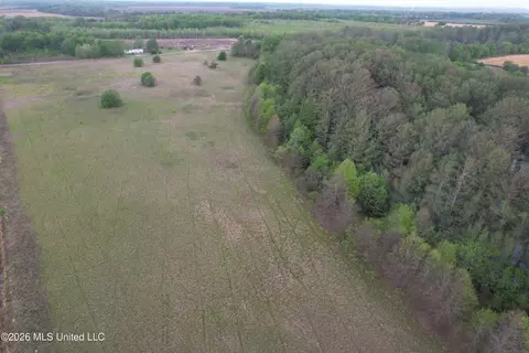 Shaw Road, Sledge, MS 38670 photo 2