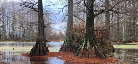 Shaw Road, Sledge, MS 38670 photo 31