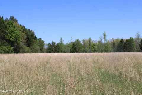 600 Turner Cv, Holly Springs, MS 38635