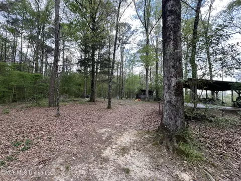 Exterior - 251 Copperhead Rd, Carthage, MS 39051 photo 6 of 10