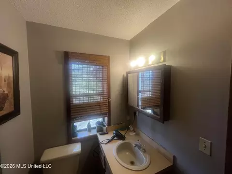 Bath - 251 Copperhead Rd, Carthage, MS 39051 photo 1 of 3