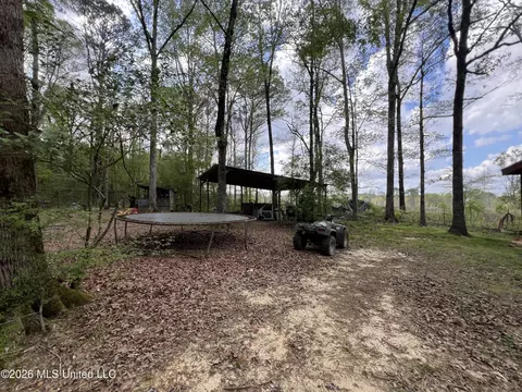 Exterior - 251 Copperhead Rd, Carthage, MS 39051 photo 7 of 10
