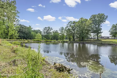 View/Area - 8511 E Airport Rd, Hernando, MS 38632 photo 2 of 4