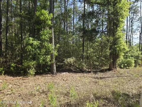 0 Arlena Ln, Poplarville, MS 39470