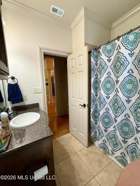 Bath - 717 Clover Pl, Biloxi, MS 39532 photo 9 of 11