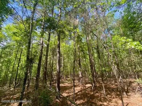 tbd Moaks Creek Rd, Summit, MS 39666 photo 5