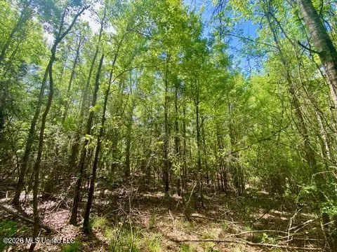 tbd Moaks Creek Rd, Summit, MS 39666 photo 8