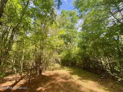 tbd Moaks Creek Rd, Summit, MS 39666 photo 6