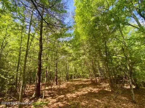 tbd Moaks Creek Rd, Summit, MS 39666 photo 10