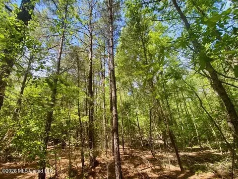 tbd Moaks Creek Rd, Summit, MS 39666 photo 13