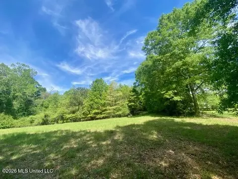tbd Moaks Creek Rd, Summit, MS 39666 photo 2