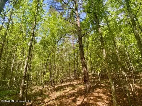 tbd Moaks Creek Rd, Summit, MS 39666 photo 7