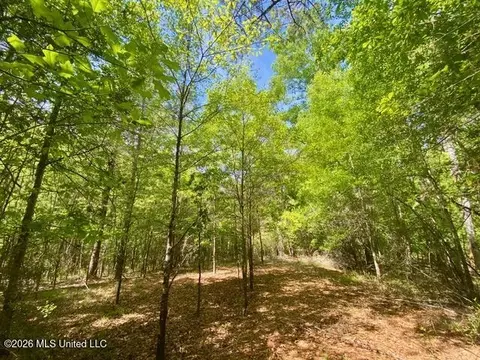 tbd Moaks Creek Rd, Summit, MS 39666 photo 9