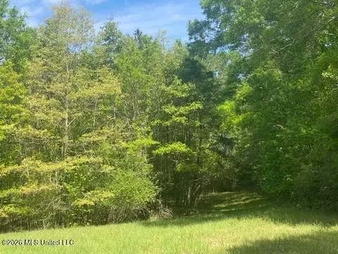 tbd Moaks Creek Rd, Summit, MS 39666 photo 3