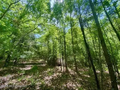 tbd Moaks Creek Rd, Summit, MS 39666 photo 12