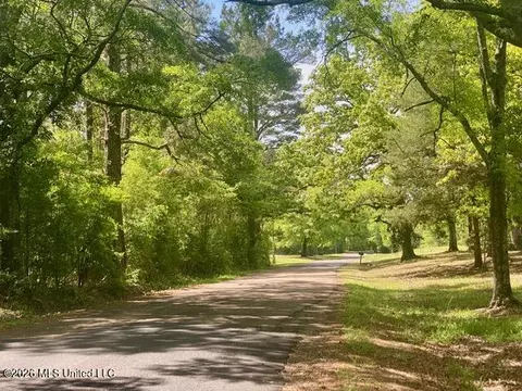 tbd Moaks Creek Rd, Summit, MS 39666 photo 4