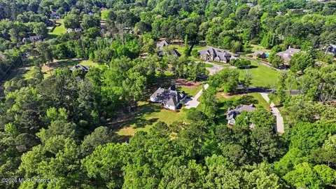 View/Area - 172 Chantilly Dr, Madison, MS 39110 photo 6 of 13