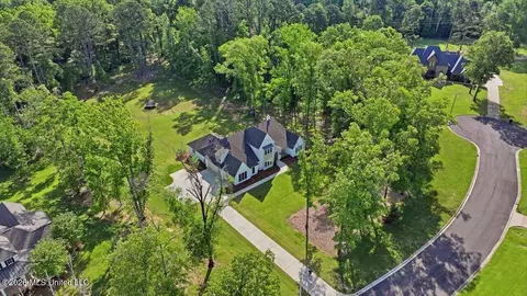 View/Area - 172 Chantilly Dr, Madison, MS 39110 photo 13 of 13