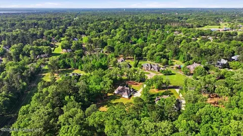 View/Area - 172 Chantilly Dr, Madison, MS 39110 photo 10 of 13