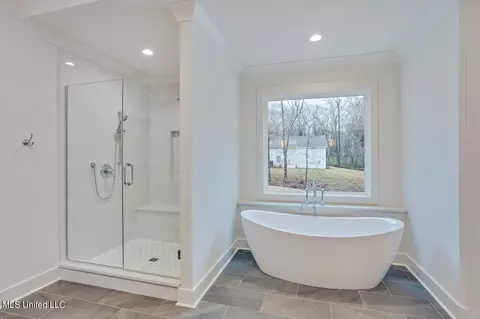 Bath - 172 Chantilly Dr, Madison, MS 39110 photo 5 of 9