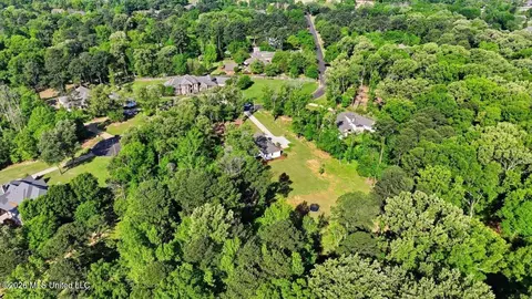 View/Area - 172 Chantilly Dr, Madison, MS 39110 photo 12 of 13