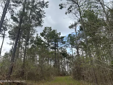 1356 Jeff Dodd Rd, West, MS 39192 photo 25