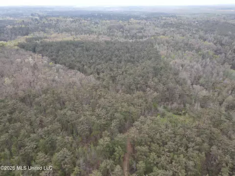 1356 Jeff Dodd Rd, West, MS 39192 photo 45