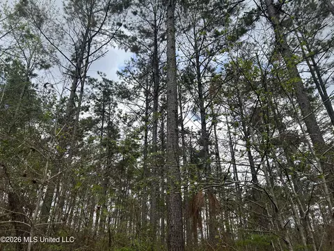 1356 Jeff Dodd Rd, West, MS 39192 photo 35