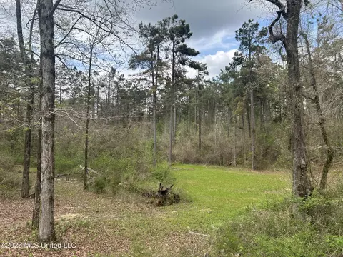 1356 Jeff Dodd Rd, West, MS 39192 photo 21