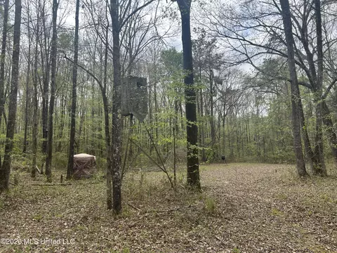 1356 Jeff Dodd Rd, West, MS 39192 photo 41
