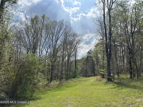 1356 Jeff Dodd Rd, West, MS 39192 photo 50