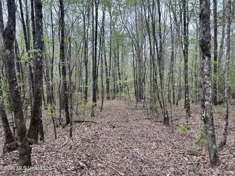 1356 Jeff Dodd Rd, West, MS 39192 photo 43