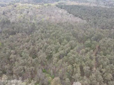 1356 Jeff Dodd Rd, West, MS 39192 photo 30