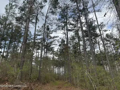 1356 Jeff Dodd Rd, West, MS 39192 photo 24