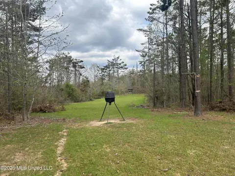 1356 Jeff Dodd Rd, West, MS 39192 photo 36