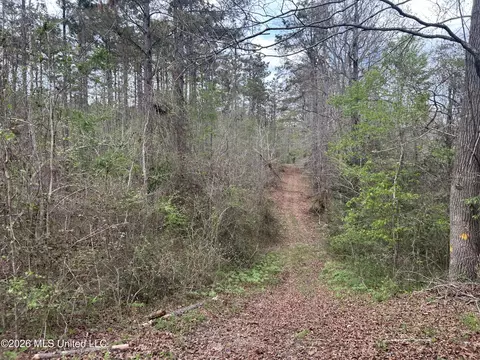 1356 Jeff Dodd Rd, West, MS 39192 photo 27