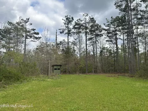 1356 Jeff Dodd Rd, West, MS 39192 photo 26