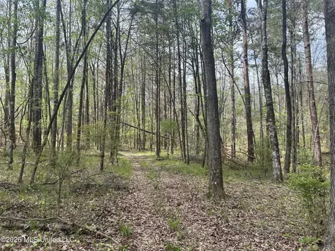 1356 Jeff Dodd Rd, West, MS 39192 photo 40