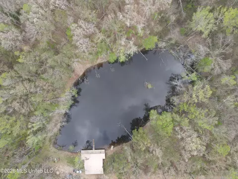 1356 Jeff Dodd Rd, West, MS 39192 photo 32