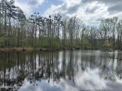 1356 Jeff Dodd Rd, West, MS 39192 photo 2