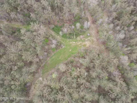 1356 Jeff Dodd Rd, West, MS 39192 photo 31